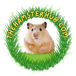 The Hamster Hub